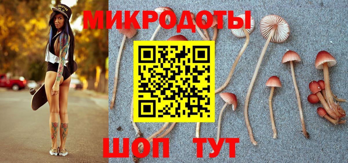 Псилоцибиновые грибы Psilocybine cubensis Екатеринбург