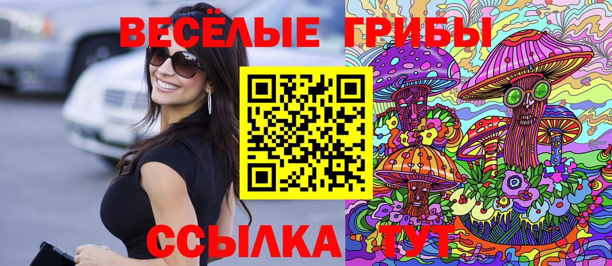 Псилоцибиновые грибы GOLDEN TEACHER  Вход с VPN  Екатеринбург 