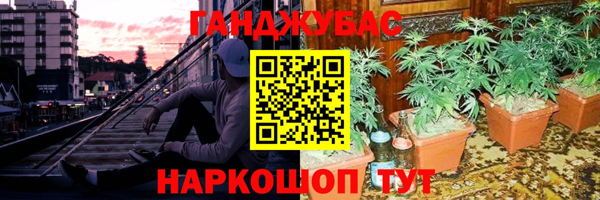 МАРИХУАНА сатива Екатеринбург
